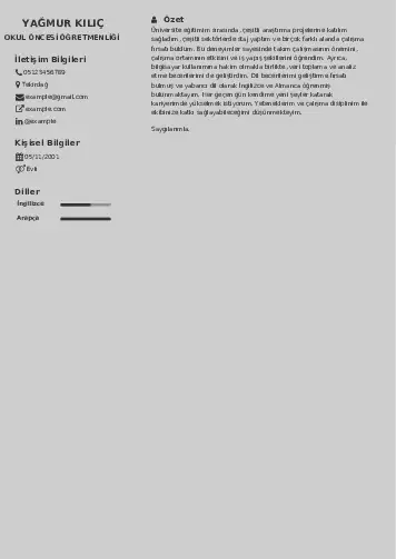 Okul Öncesi Öğretmeni Öğretmenliği Cv Örnekleri cv indir